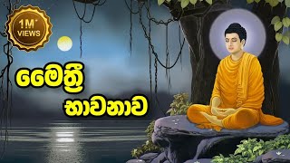 Maithree Bawanawa  මෛත්‍රී භාවනාව  Sadaham Thilina [upl. by Malti]