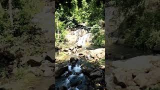 waterfalls modhiramalai near pechiparai Kanyakumari district [upl. by Ferrand]