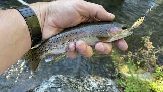 Pinecrest Lake Trout Fishing [upl. by Atilol]