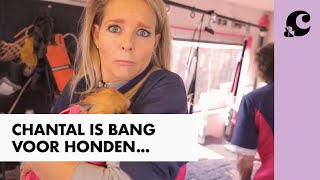 HOE DOET CHANTAL HET ALS EEN HONDENPSYCHOLOOG  CHANTAL KOMT WERKEN  ampC [upl. by Akenihs]