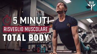 5 MIN  Risveglio muscolare total body [upl. by Forras695]