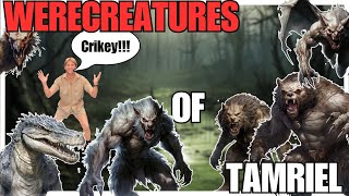 LYCANTHROPY in The Elder Scrolls Explained  The Elder Scrolls Lore [upl. by Ellard50]