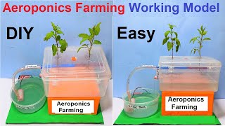 aeroponics farming working model  agriculture types science project for exhibition  DIY pandit [upl. by Teufert550]