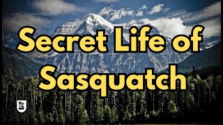 Secret Life of Sasquatch from a Native Bushman [upl. by Aninep475]