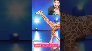 rap magic hiphop shorts human 🚶‍♀️transform into Giraffe🦒 Americas got talent giraffe 🦒🦒🦒 [upl. by Anewor]