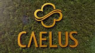 CAELUS BSD CITY SINARMASLAND [upl. by Fuchs]