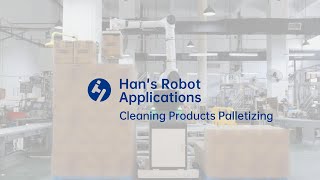 Hans Robot Application  Cleaning Products Palletizing [upl. by Eimat71]