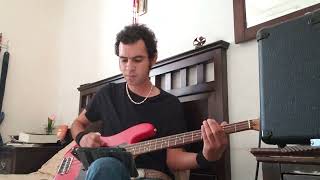 joaquin sabina  peor para el sol  bass cover [upl. by Autumn]