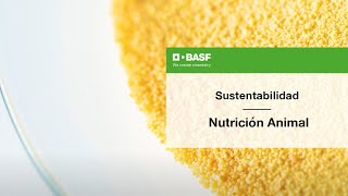 BASF Nutrición Animal [upl. by Inoek]