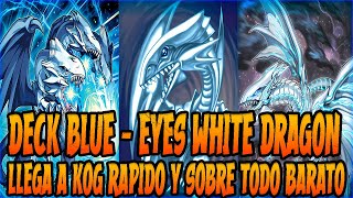 BLUE EYES KING OF GAMES JUNIO  YUGIOH DUEL LINKS  DECK BLUE EYES WHITE DRAGON [upl. by Demaria]