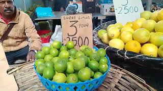 Vegetables Fish and Chicken Market at Quatre Bornes Mauritius 🦤 [upl. by Fulbert]