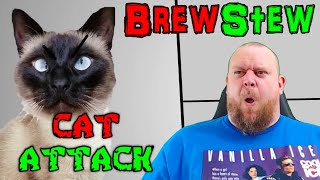 Get em Cotton  Brewstew Cat Attack REACTION [upl. by Schreibman]