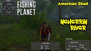 American Shad Neherrin River  Fishing Planet [upl. by Aliet]