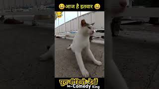 Aaj ltwar 😆Hai ll sab LOol Haifunny comedy 😆short videocatcat [upl. by Aikem]