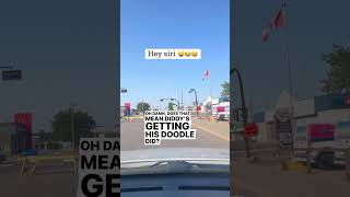 Hey siri goodvibesonly saskatchewan canada Send comedy heysiri siri comedyvideos souperkire [upl. by Itsyrk592]