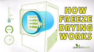 How Freeze Drying Works [upl. by Giacamo]