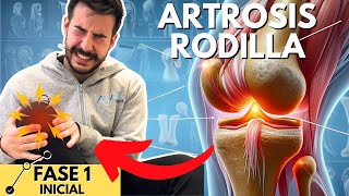 5 Ejercicios para MEJORAR la ARTROSIS y el DESGASTE de tus RODILLAS FASE 1 🦵🏼💥 [upl. by Derf827]