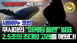 시바이누 코인 쿠사마도 놀란 초대형 고래의 활동 고래들의 활동이 암시하는 신호 구체적으로 파헤치기 [upl. by Lerrad]