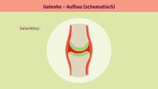 Bewegung – Zusammenarbeit von Knochen Muskeln und Gelenken einfach erklärt  sofatutor [upl. by Otiv]