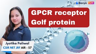 GPCR Pathway  Golf Protein  G protein coupled receptor csirlifescience [upl. by Ilohcin166]