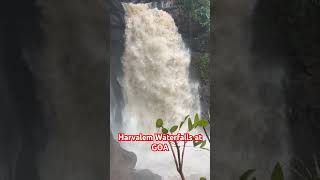 Harvalem Waterfalls  Must visit  GOA  waterfalls tanshmastitube [upl. by Eldin]