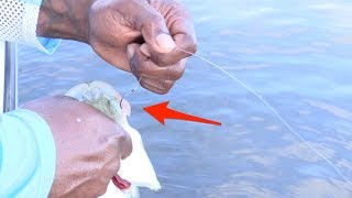 The Fastest Way To Remove A Circle Hook From A Fishs Mouth [upl. by Demah]