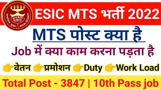 ESIC MTS Job ProfileESIC MTS Salary ESIC MTS Kya hai in hindiPromotiondutyesicmts2022 [upl. by Aisetal241]