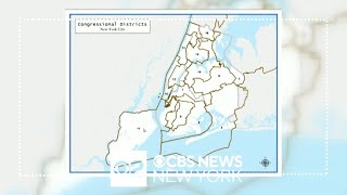 New Yorks highest court throws out states congressional map [upl. by Grier550]