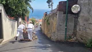 Madeira FUNCHAL TOBOGGAN RIDE in Monte MADEIRA [upl. by Leavelle]