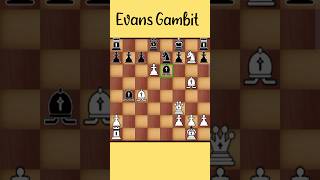 Evans Gambit chess shorts shortsviral ytshorts [upl. by Elleirb]