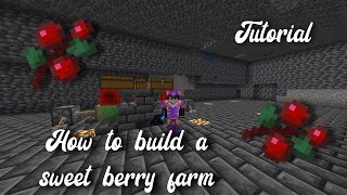 How to build a sweet berry farm on donutsmpnet 600k per hour [upl. by Krishnah]