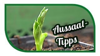 Aussaat amp Gartentipps im März🌱 Jungpflanzenanzucht 🌱 erste Freilandaussaaten [upl. by Dlareme392]