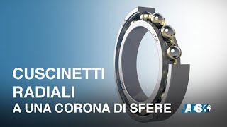 Cuscinetti Radiali a una corona di sfere  Cuscinetti alta capacità [upl. by Elehcir327]