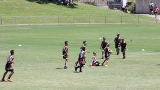 U11 Oztag State Cup Final 2023  Nepean vs Hills Bulls [upl. by Hayouqes]