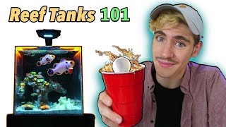 How to Set Up a College Reef Tank  QampA [upl. by Koh466]