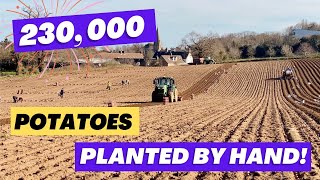 🌱From Field to PlateEpisode 5Planting our Jersey Royal potatoes 🥔 [upl. by Ron658]