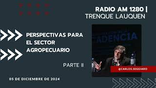 Radio AM1280 Trenque Lauquen  PERSPECTIVAS PARA EL SECTOR AGROPECUARIO ARGENTINO PARTE II [upl. by Herzen]