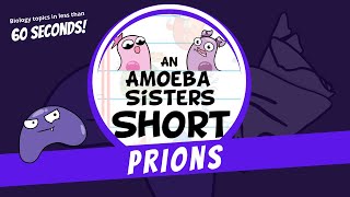 Prions  Amoeba Sisters Shorts [upl. by Newberry]