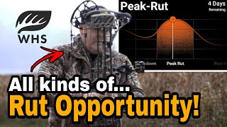 How To Hunt All Phases Of The Rut [upl. by Koy]