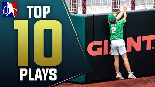 TOP 10 WIFFLE BALL PLAYS  MLW Wiffle Ball 2023 [upl. by Francklyn]