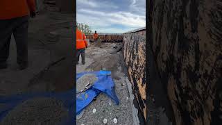 Flat Roof Demolition Gravel Roof Roof Removal roofsolution motivation inspiration bestroofing [upl. by Aiceila]