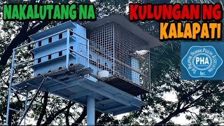 KALAPATI PARK SA MARIKINA  SOBRANG GANDA  RACING PIGEON  XMAKINA OFFICIAL [upl. by Rusticus]