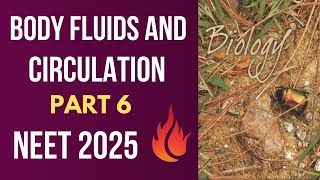 Line to line from new NCERT 💯  BODY FLUIDS AND CIRCULATION Part 6  NEET 2025 by DR MANAND BIOLOGY [upl. by Amby692]