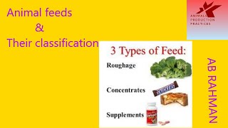 Common feeds and their classification  animal Nutrition  types of feed [upl. by Inor986]