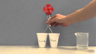 Thermoelectric Effect Demonstration Demonstrator [upl. by Anelas]