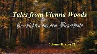 “Tale from the Vienna Woods waltz ”277 Stella Grand 17 1⁄4 Inches [upl. by Notak]