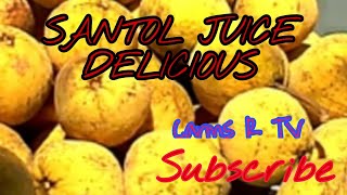 HOW TO MAKE SANTOL JUICE Very Delicious [upl. by Idoux812]