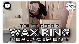 TOILET WAX RING REPLACEMENT plumber plumbing toilet waxring diy howto asmr plumbinglife [upl. by Roman303]