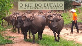 De Peão Boiadeiro a Rei dos Búfalos [upl. by Noak]