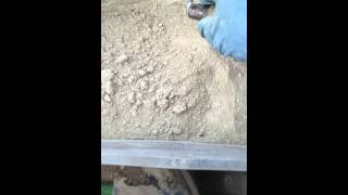 repairing my foundation part 5 mixing natural hydraulic lime mortar adding water [upl. by Otsenre220]